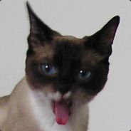 Turdproducer