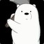 icebear