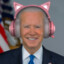 FROYO biden