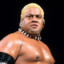 rikishi