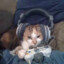 Gato Gamer