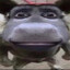 GONZZCS