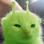 Euphoric