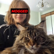DaMoggingCat