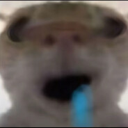 瑜尼佬冯缠绵的日子