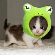 Kipri - steam id 76561197961380382