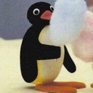 pingu