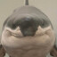 KShark