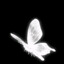 ch5ry's avatar