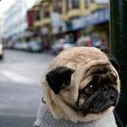 GGboy杀机里做英雄