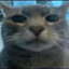 wobblycat2004