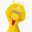 BigBirdFromSeasameStreet