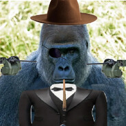 Gorilla tv