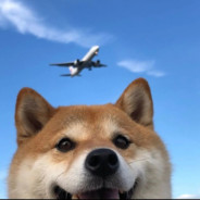 瓦尔基里请和我QQ爱