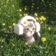 请问你现在那边是几点