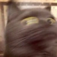 可口可乐不加糖