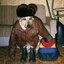 Тузик бейтман