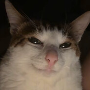 双面汤姆沸小虎