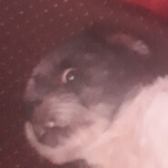 higor