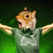 Armin Van Squirrel