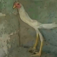 几个字是何意味