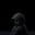 digibigibon