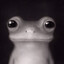 LIL NAKURKA