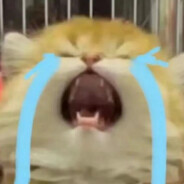 流泪猫猫头