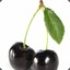 blackcherry