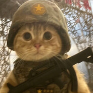 佛波勒不爱吃香菜.