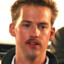 Goose