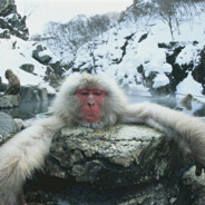 Касирша Оксана