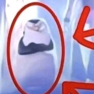 pinguino madagascarro