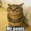 Mr. Penis⁴²