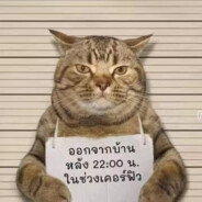 别打了我玩原神的