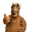 ALF