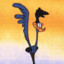 Roadrunner