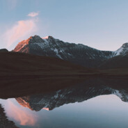 我是姜沅君大王666