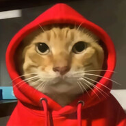 帝国絕兇の猛虎-圆头耄