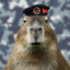 Пипибара's avatar