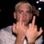 Real Slim Shady