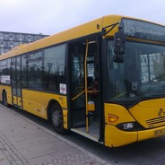 pistol-force-eco loss