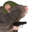 Rat man