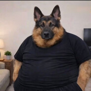 шк
