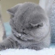 斯人若彩虹遇上方知有