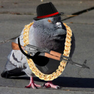 Pigeonelele
