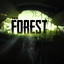 fo_0rest*