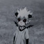 Pandamoniopt