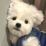 小阳肖恩