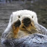 社会主义好青年